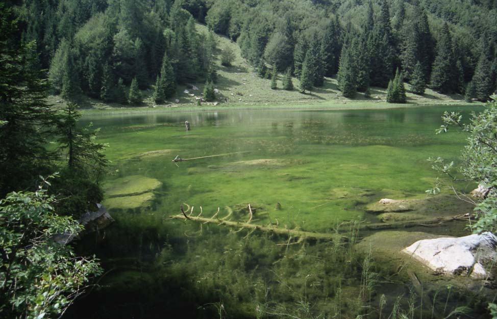 Laghi.....dell''ALTO ADIGE